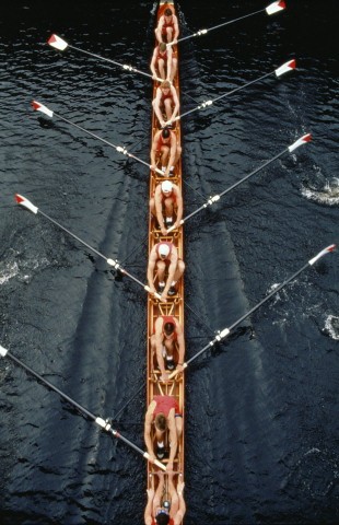 Collaboration Rowing team collaborating