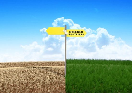 3 smart ways to make decentralised marketing structures perform better 2 greener pastures600