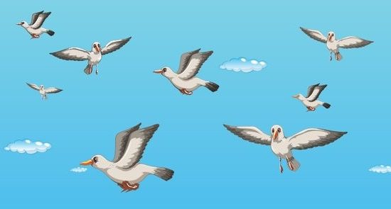 Birds of a feather flock together: tips for engaging a new agency partner 3 new agency
