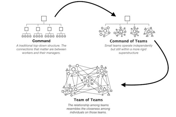 team of teams review