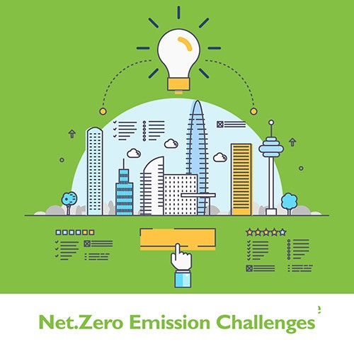Net Zero Emission Challenges