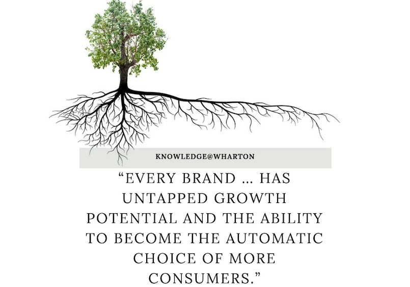 Brand_Growth