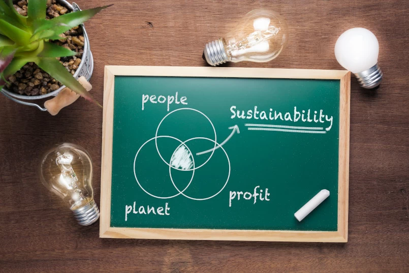 Purpose replacing profit